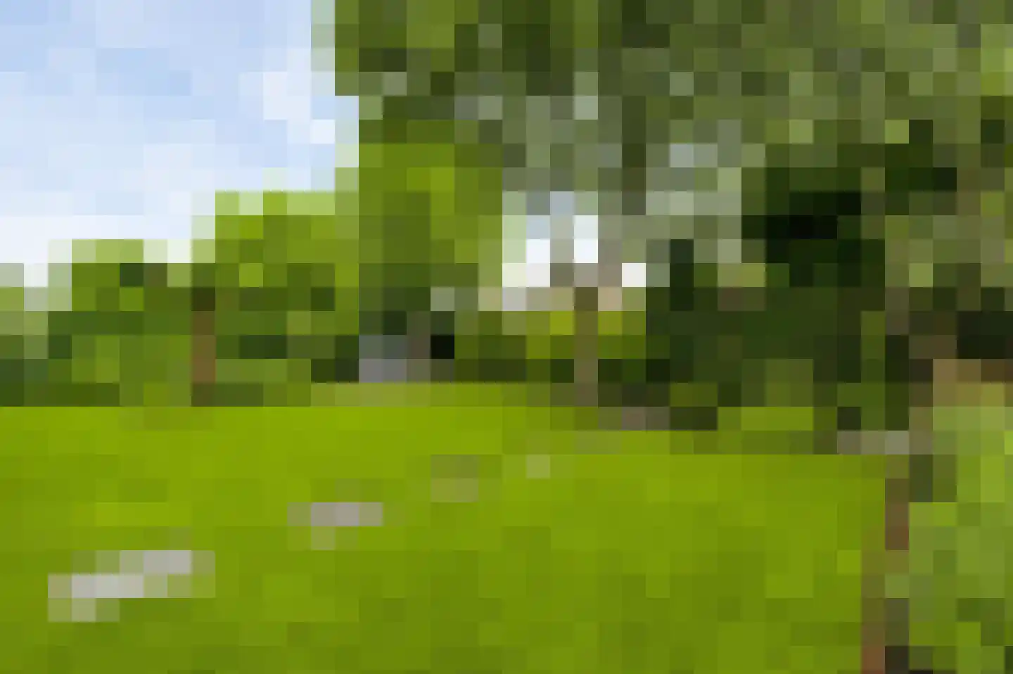 Sondertseveld 13 Sevenum thumbnail 48