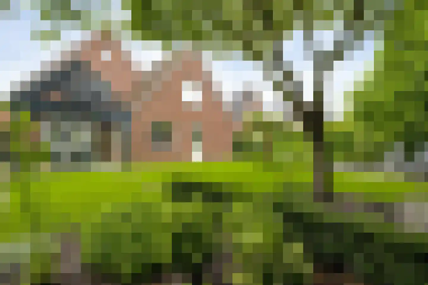 Sondertseveld 13 Sevenum thumbnail 51