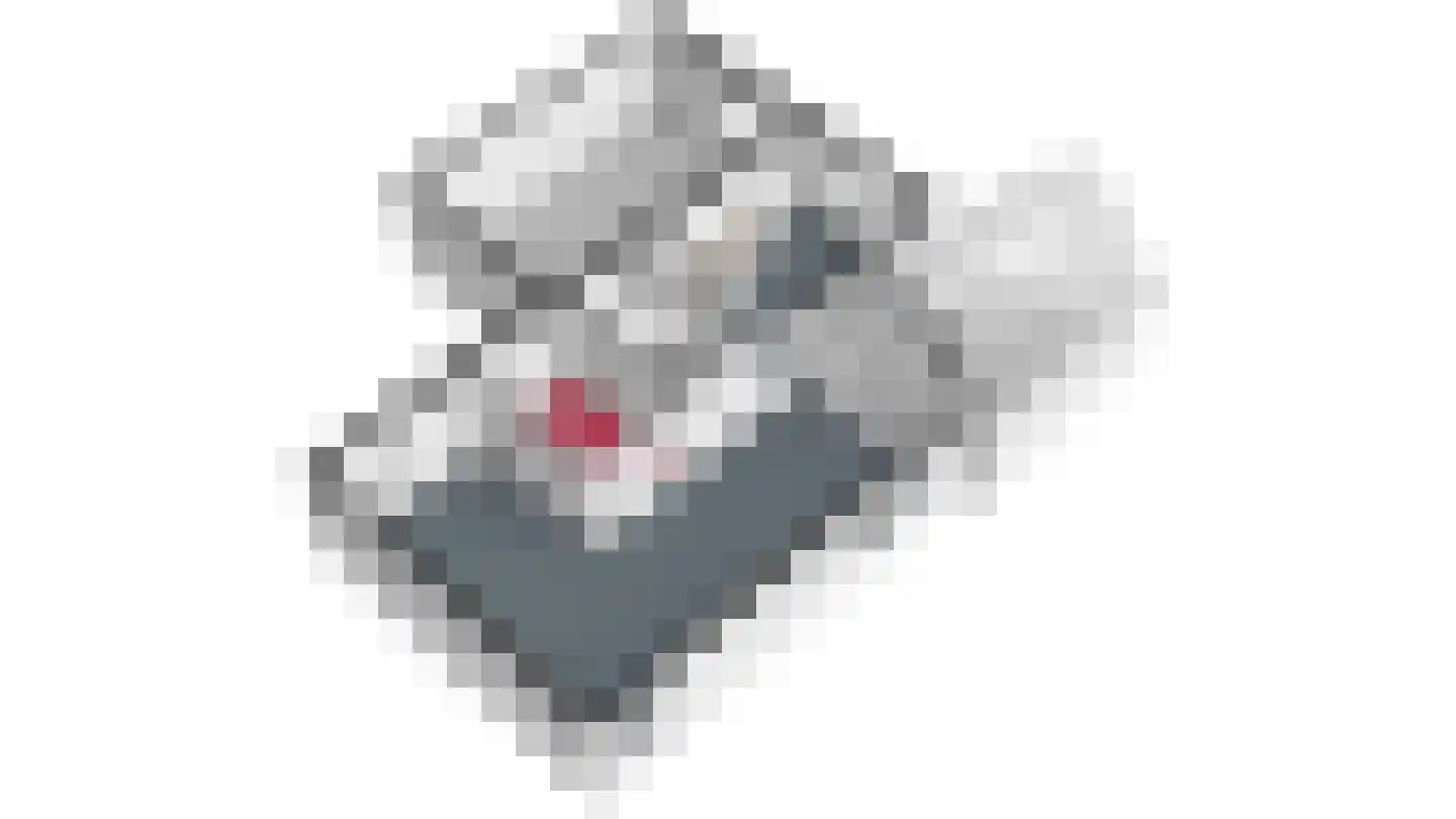 Sondertseveld 13 Sevenum thumbnail 52