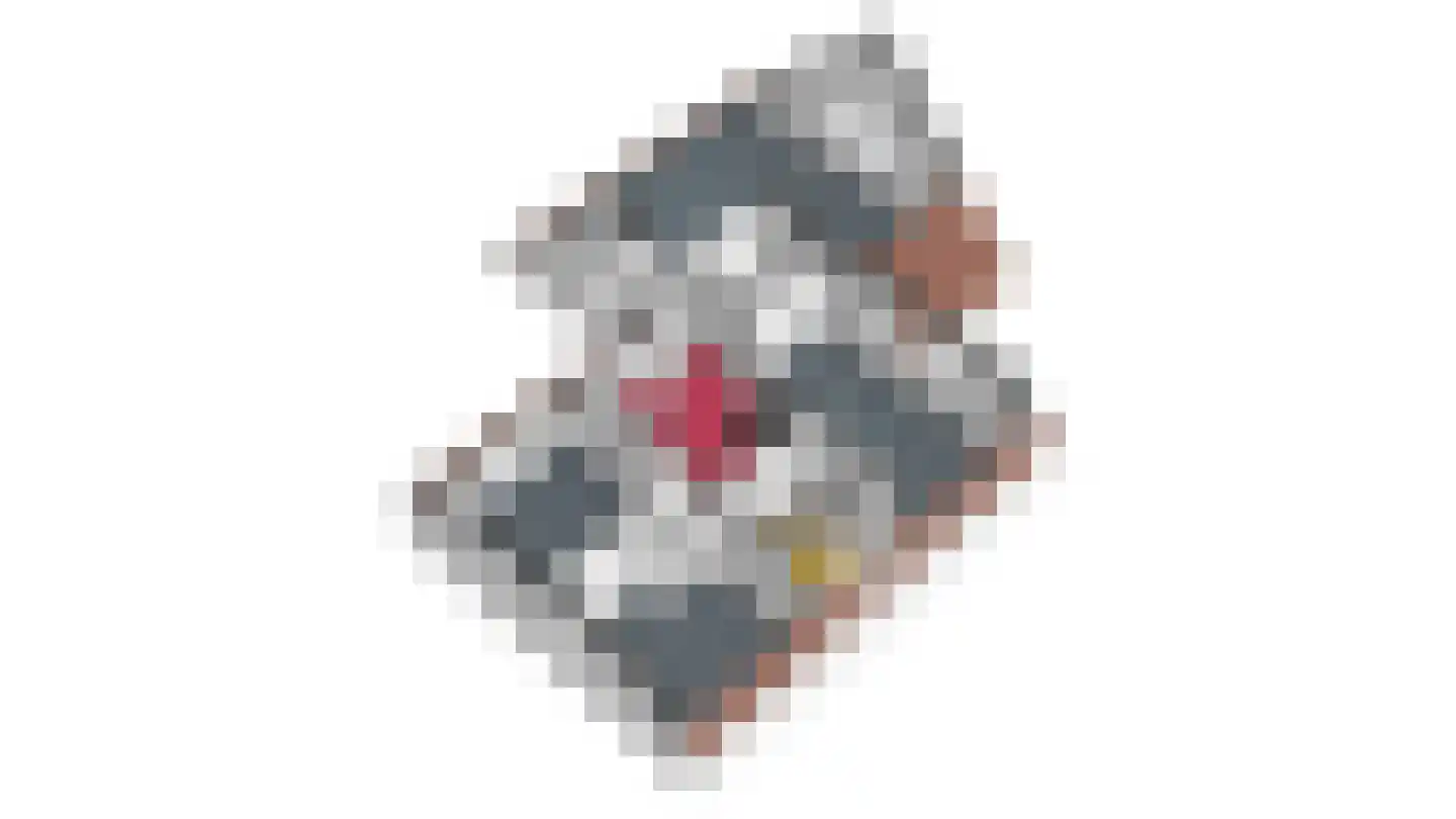 Sondertseveld 13 Sevenum thumbnail 54