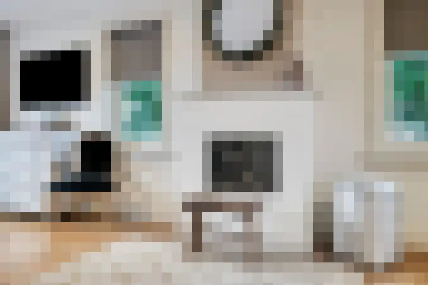 Sondervick 14 Veldhoven thumbnail 30