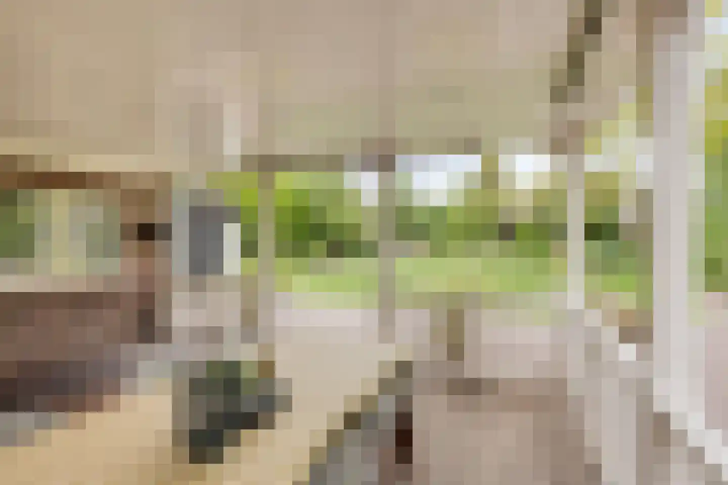 Sondervick 14 Veldhoven thumbnail 43