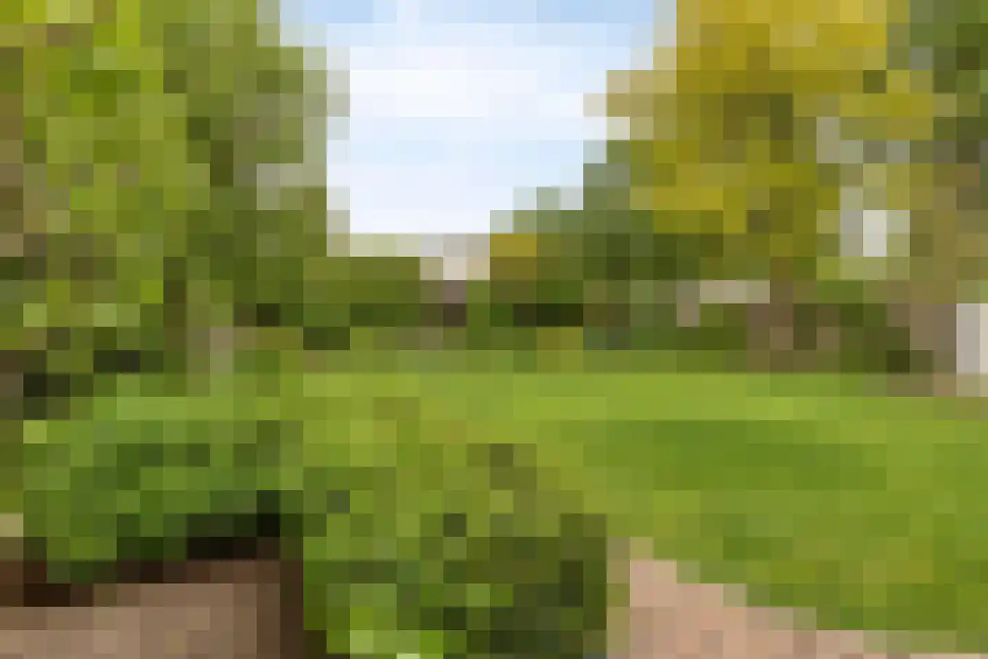 Sondervick 14 Veldhoven thumbnail 46