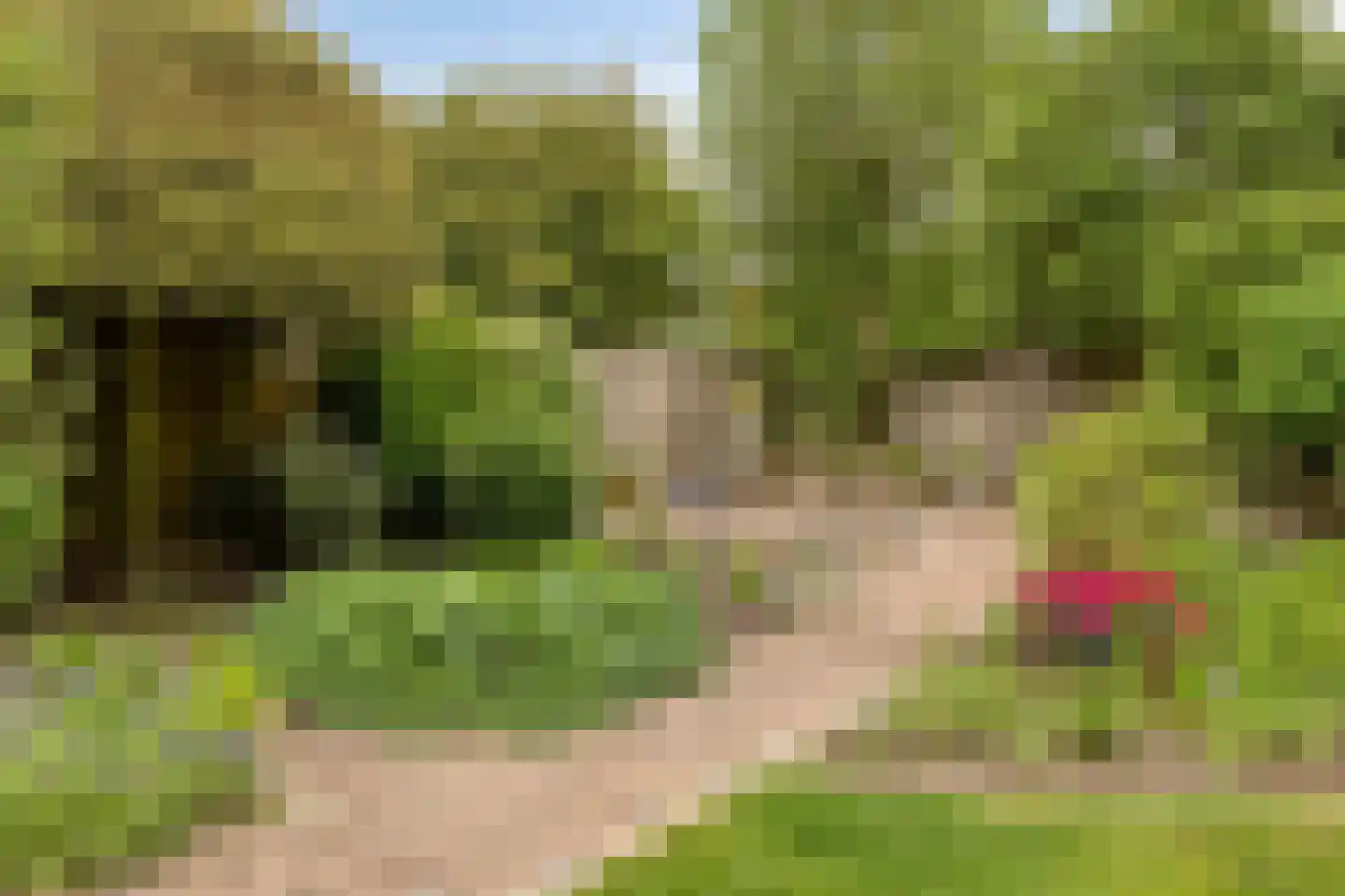 Sondervick 14 Veldhoven thumbnail 48