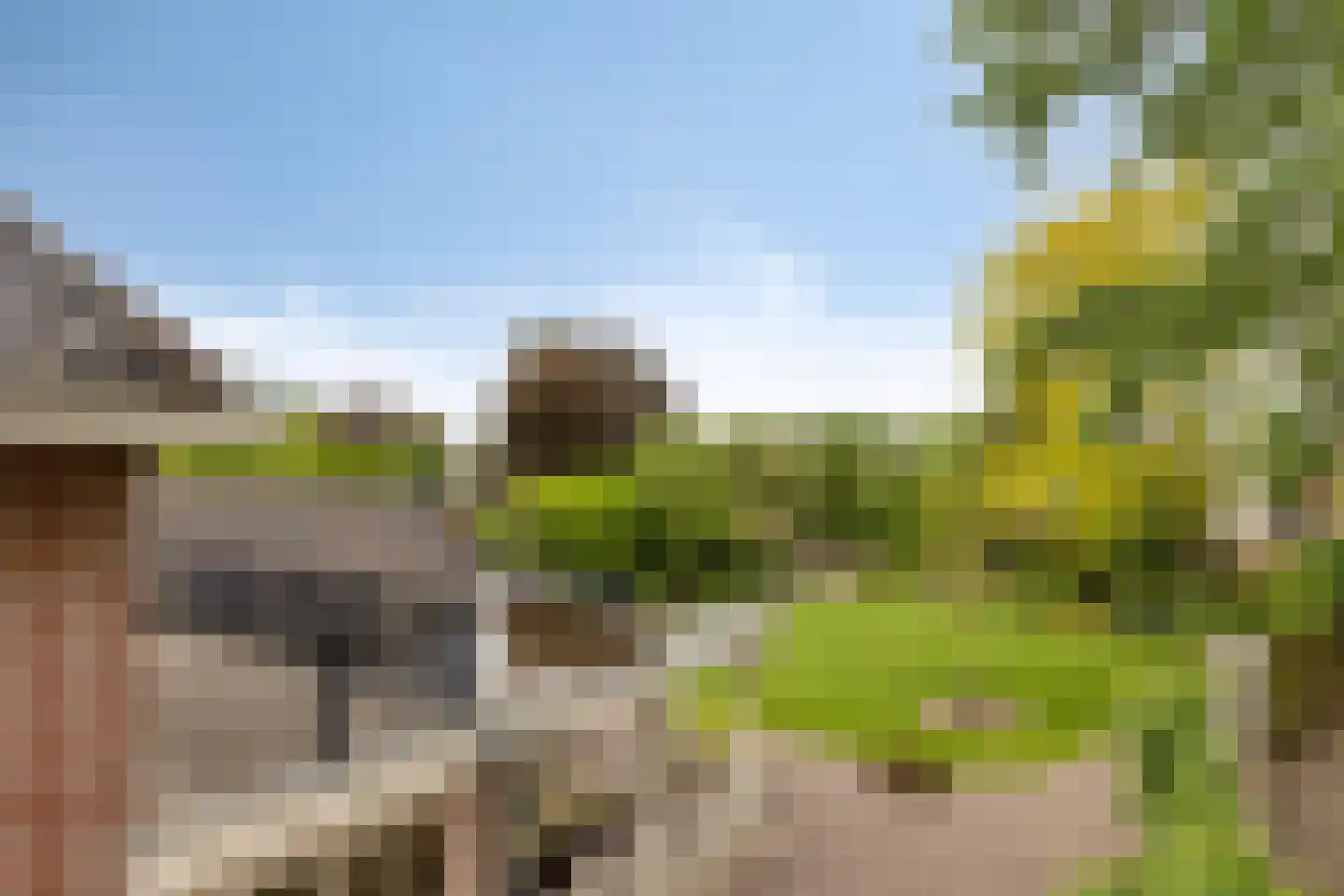 Sondervick 14 Veldhoven thumbnail 51