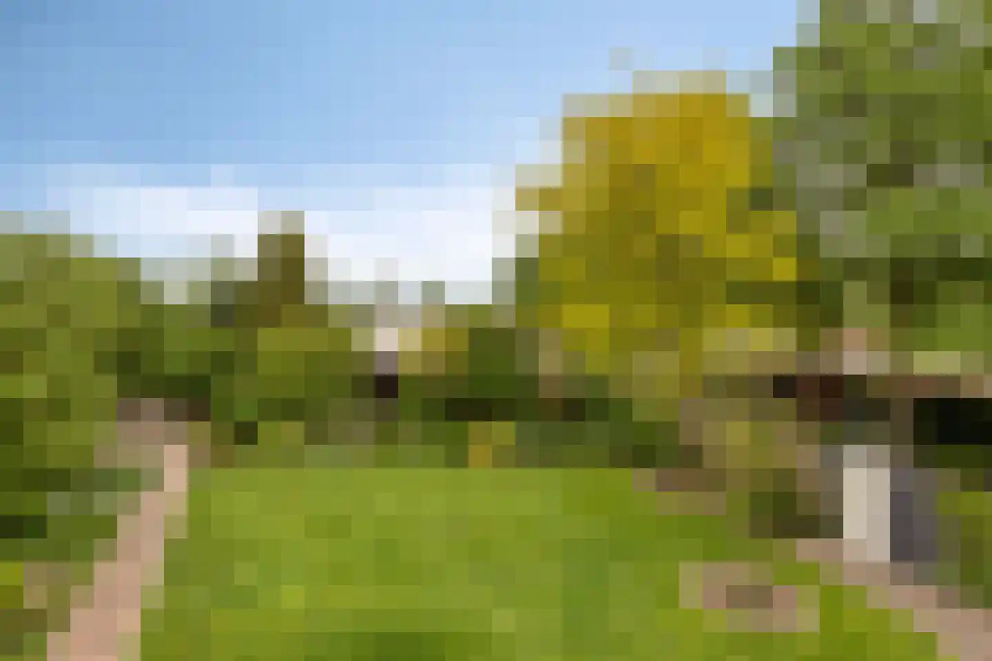 Sondervick 14 Veldhoven thumbnail 52