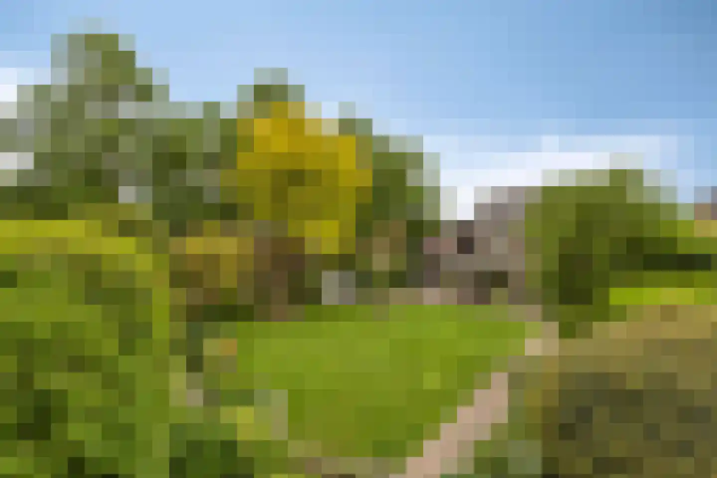 Sondervick 14 Veldhoven thumbnail 53