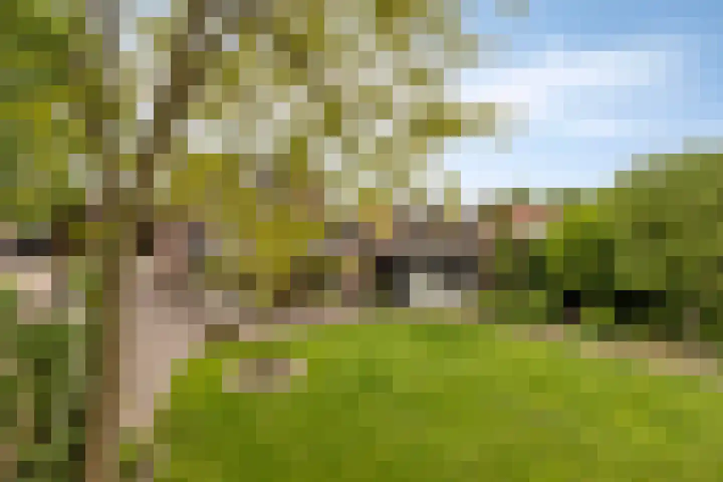 Sondervick 14 Veldhoven thumbnail 54