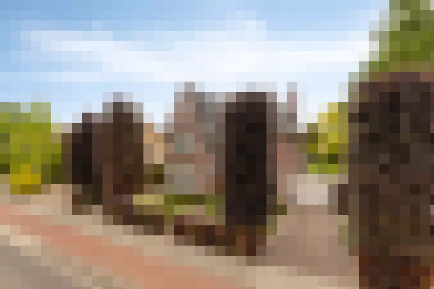 Sondervick 14 Veldhoven thumbnail 57