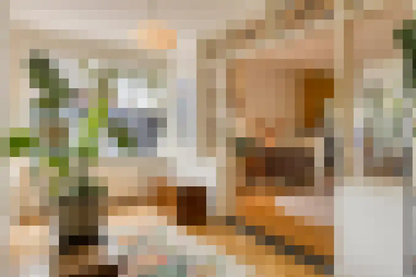 Sondervick 14 Veldhoven thumbnail 9