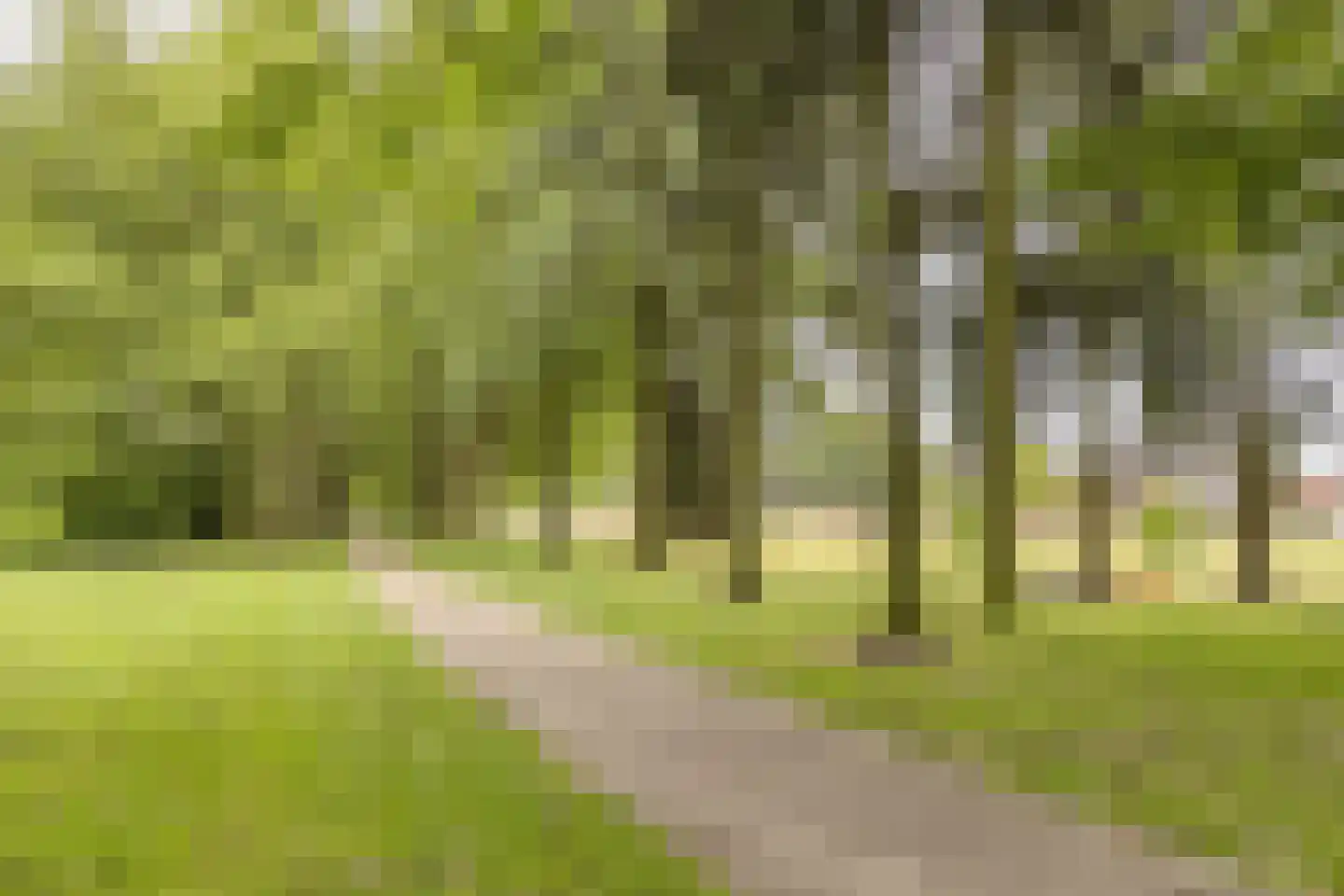 Sondervick 27 Veldhoven thumbnail 18