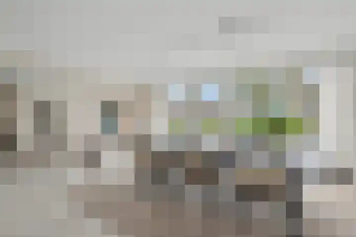 Sondervick 39 Veldhoven thumbnail 15