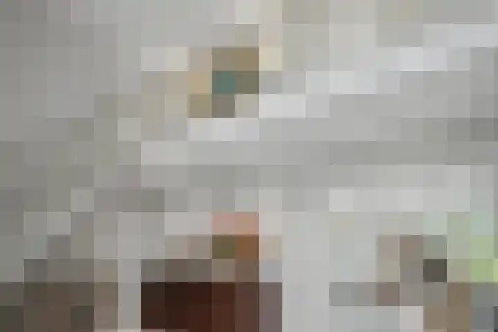 Sondervick 39 Veldhoven thumbnail 25