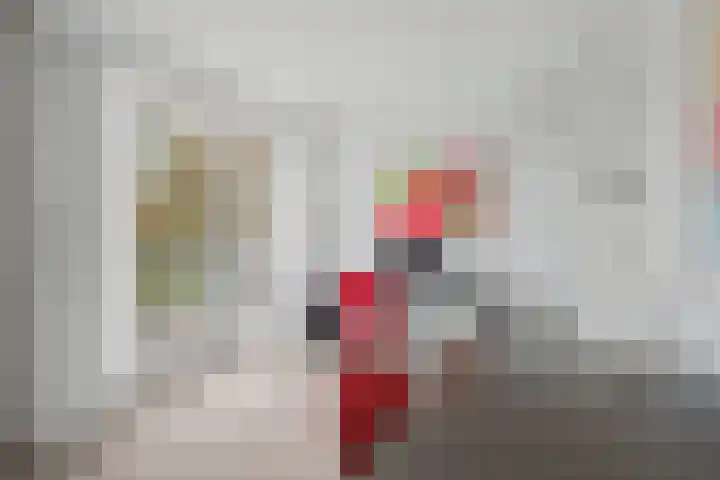 Sondervick 39 Veldhoven thumbnail 36