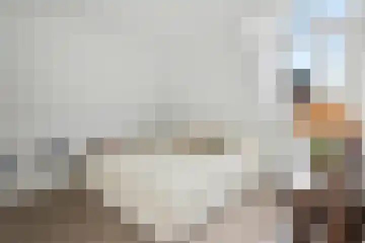 Sondervick 39 Veldhoven thumbnail 39