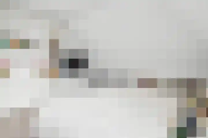 Sondervick 39 Veldhoven thumbnail 40