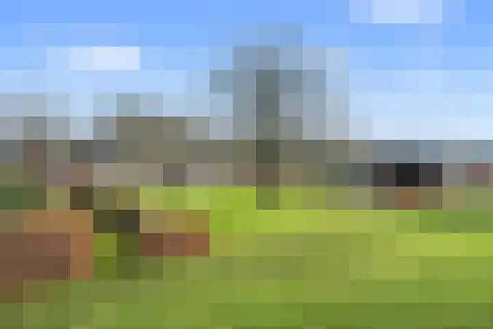 Sondervick 39 Veldhoven thumbnail 50