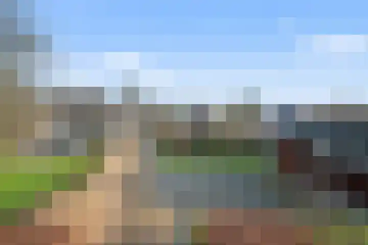 Sondervick 39 Veldhoven thumbnail 51