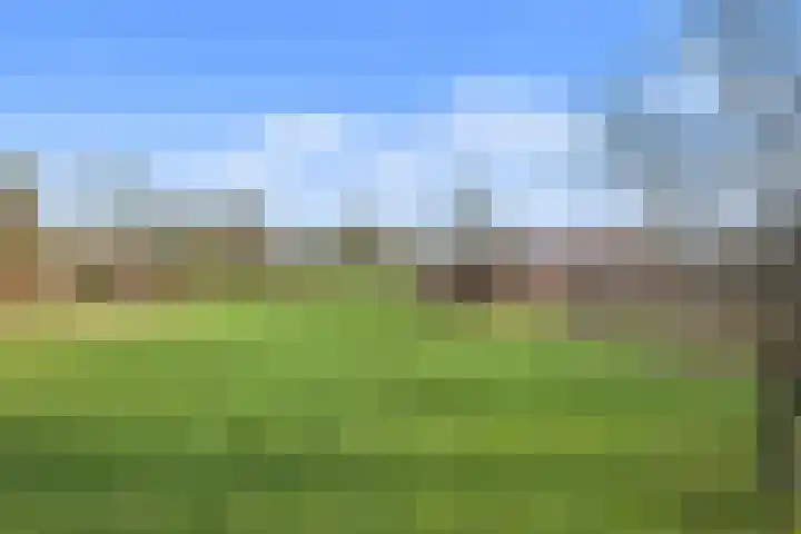 Sondervick 39 Veldhoven thumbnail 54
