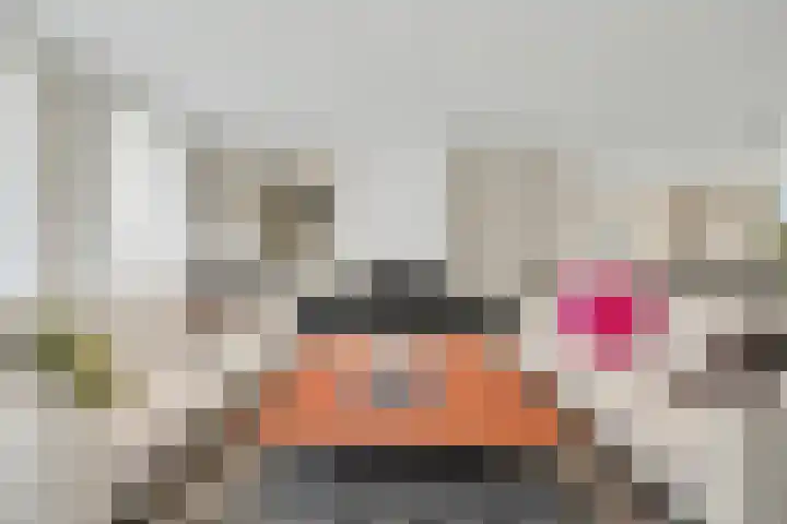Sondervick 39 Veldhoven thumbnail 8