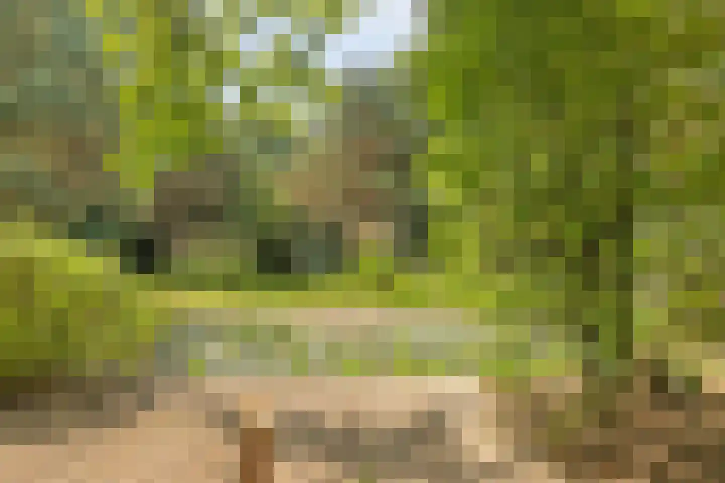 Sondervick 57 Veldhoven thumbnail 15