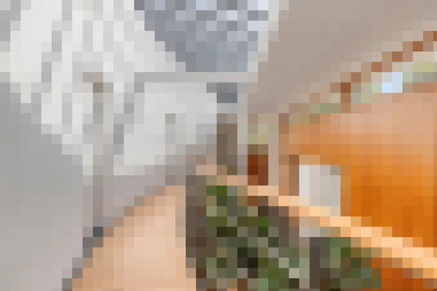 Sondervick 57 Veldhoven thumbnail 20