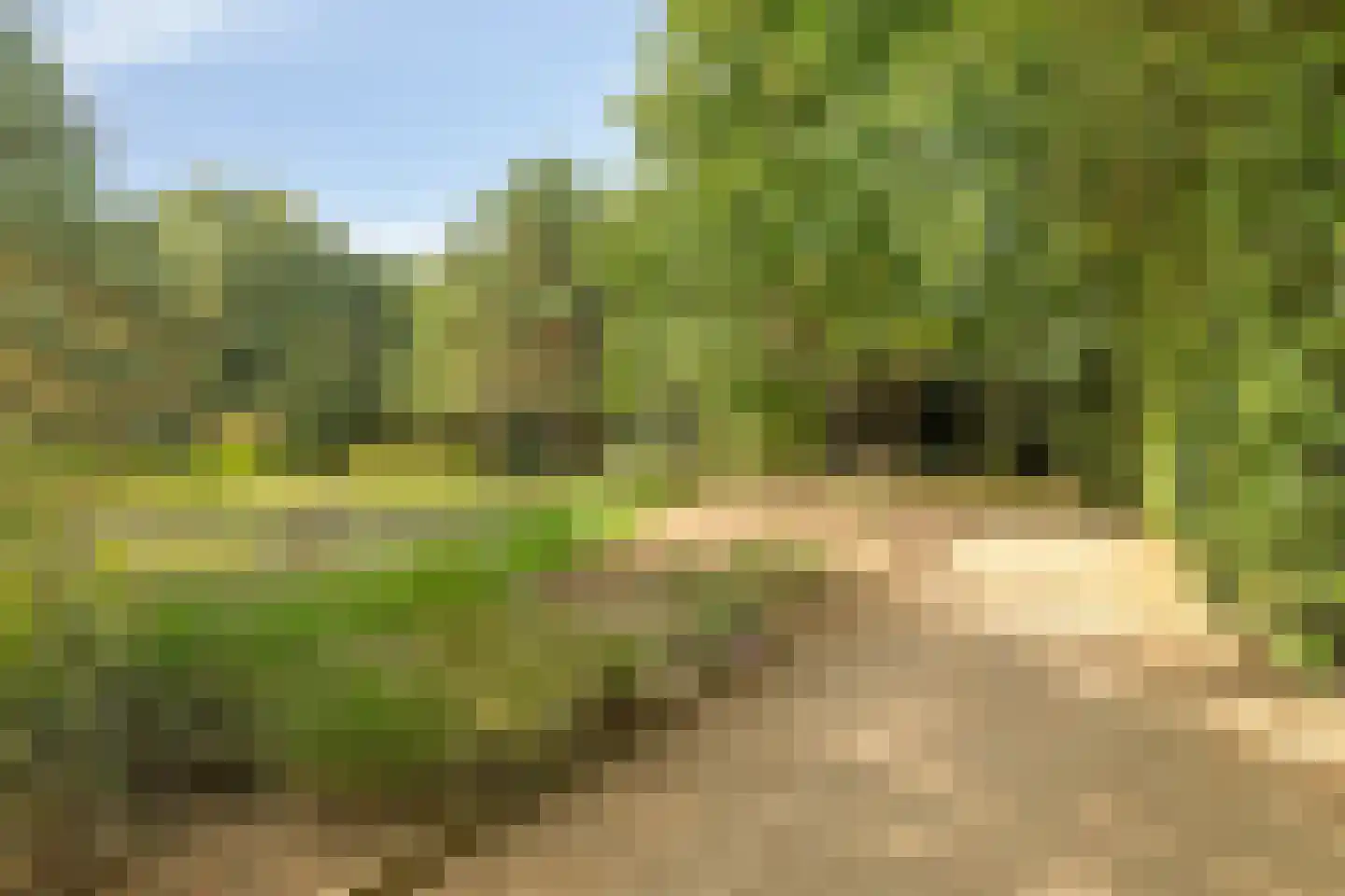 Sondervick 57 Veldhoven thumbnail 38