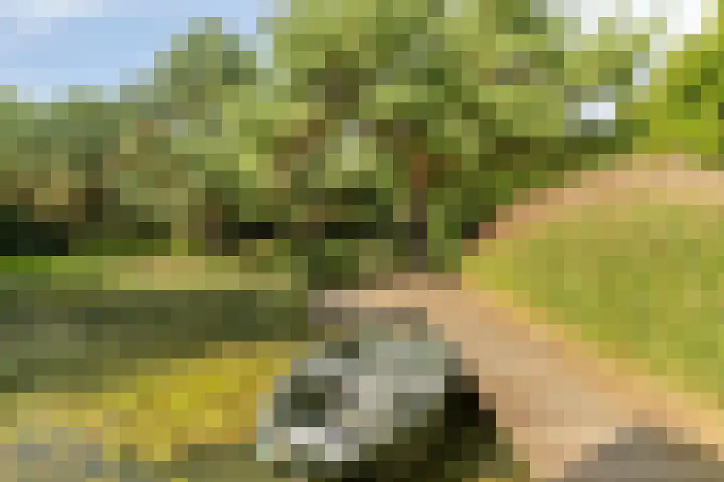 Sondervick 57 Veldhoven thumbnail 40