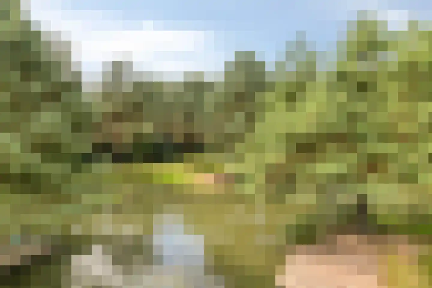 Sondervick 57 Veldhoven thumbnail 46