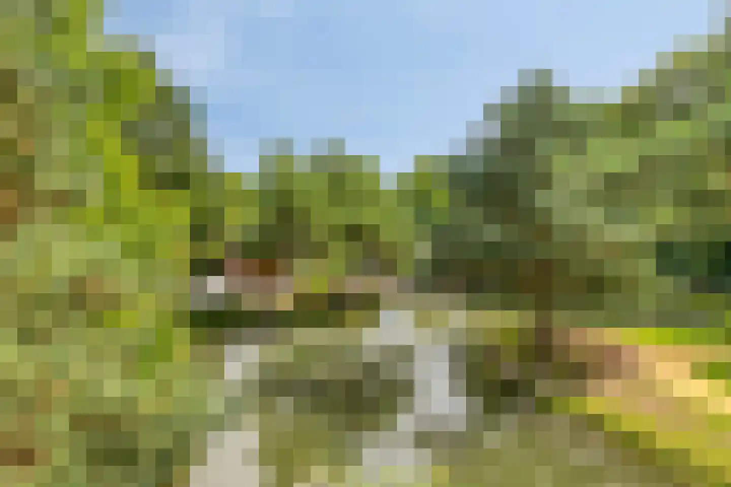 Sondervick 57 Veldhoven thumbnail 48