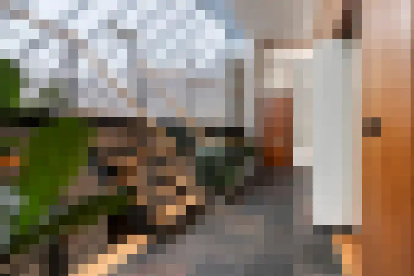 Sondervick 57 Veldhoven thumbnail 8