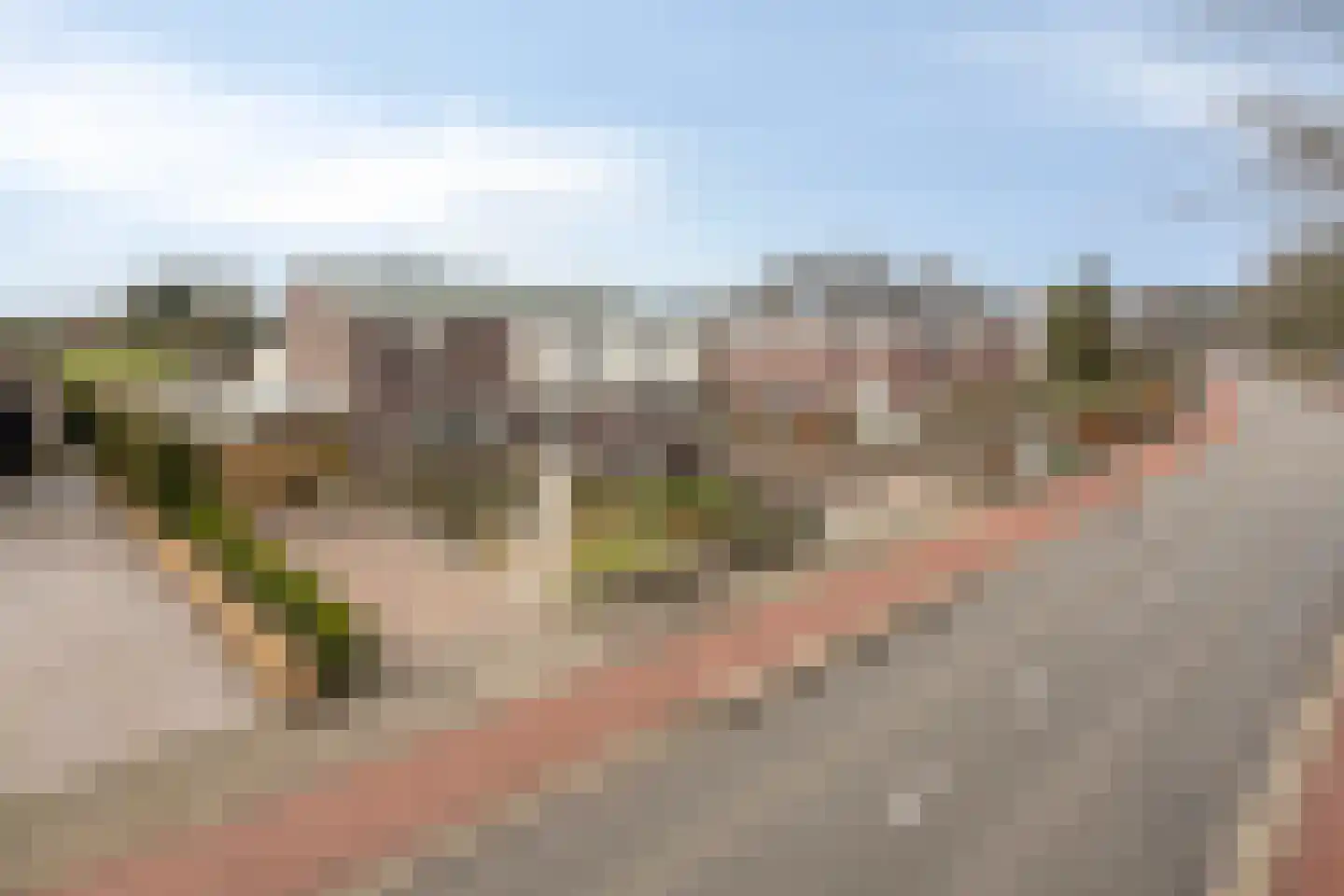 Sondervick 71 Veldhoven thumbnail 68