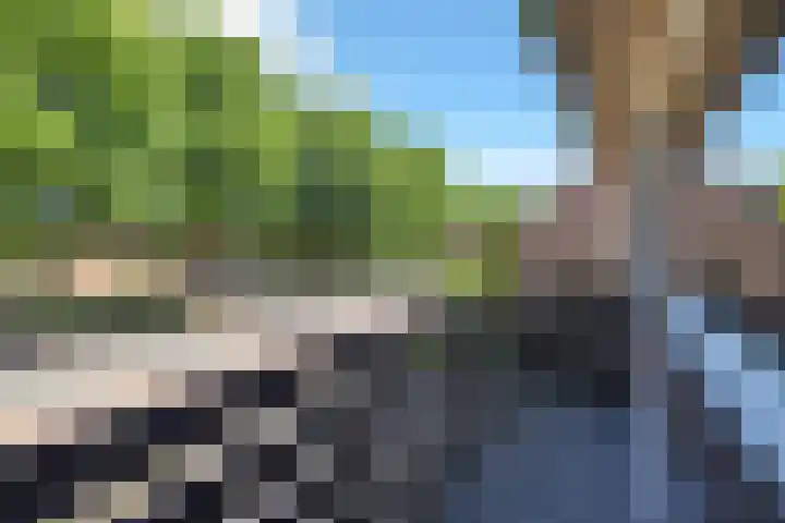 Sondervick 95 A Veldhoven thumbnail 33