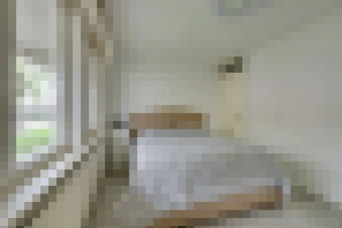 Sonja Heniepad 11 Amsterdam thumbnail 23