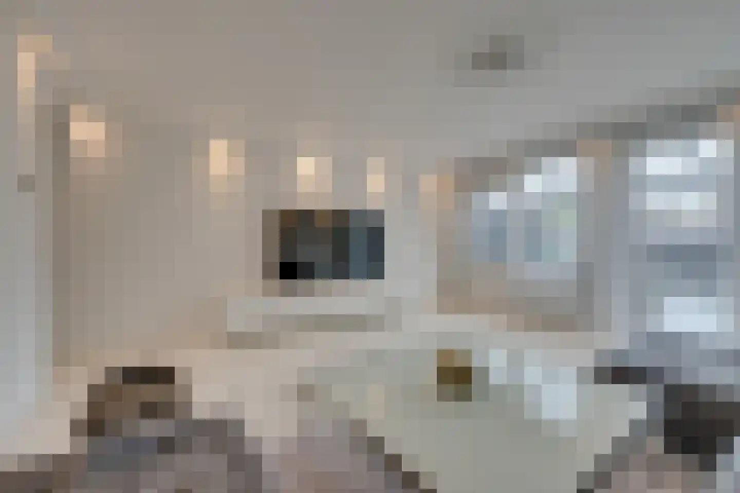 Sonja Heniepad 11 Amsterdam thumbnail 8