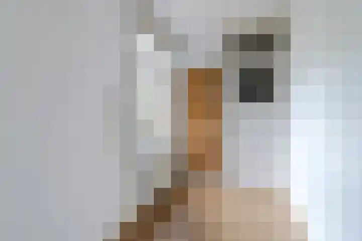 Sonmansstraat 104 B 02 Rotterdam thumbnail 16