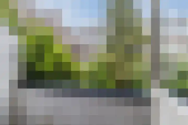 Sonmansstraat 104 B 02 Rotterdam thumbnail 28