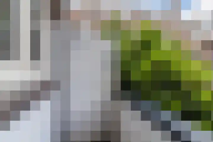Sonmansstraat 104 B 02 Rotterdam thumbnail 29
