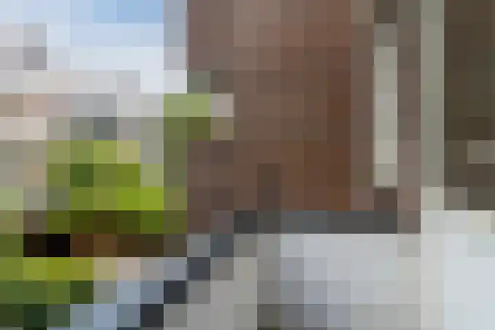 Sonmansstraat 104 B 02 Rotterdam thumbnail 30