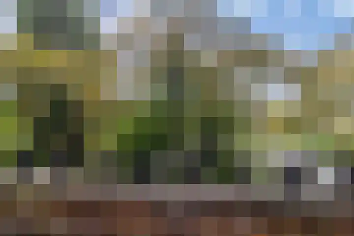 Sonmansstraat 104 B 02 Rotterdam thumbnail 31