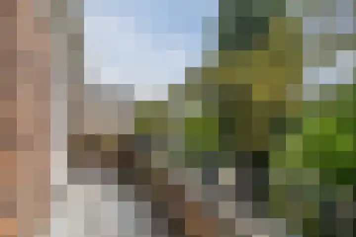 Sonmansstraat 104 B 02 Rotterdam thumbnail 32