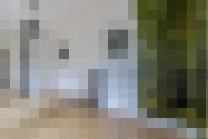 Sonmansstraat 104 B 02 Rotterdam thumbnail 9