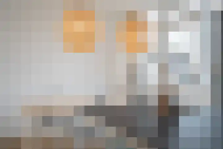 Sonmansstraat 107 A Rotterdam thumbnail 13
