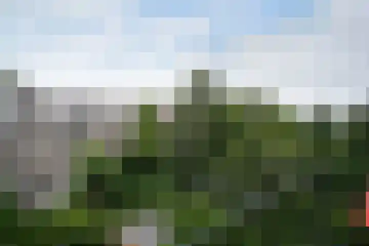 Sonmansstraat 107 A Rotterdam thumbnail 33