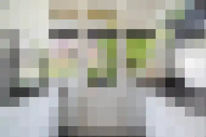 Sonmansstraat 108 B 02 Rotterdam thumbnail 13