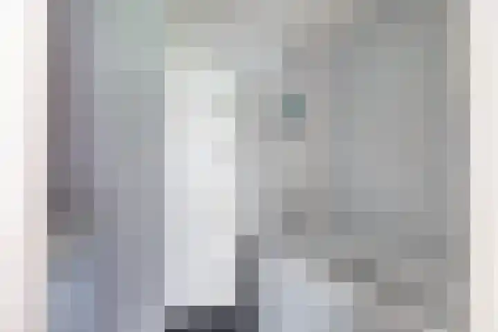 Sonmansstraat 108 B 02 Rotterdam thumbnail 39