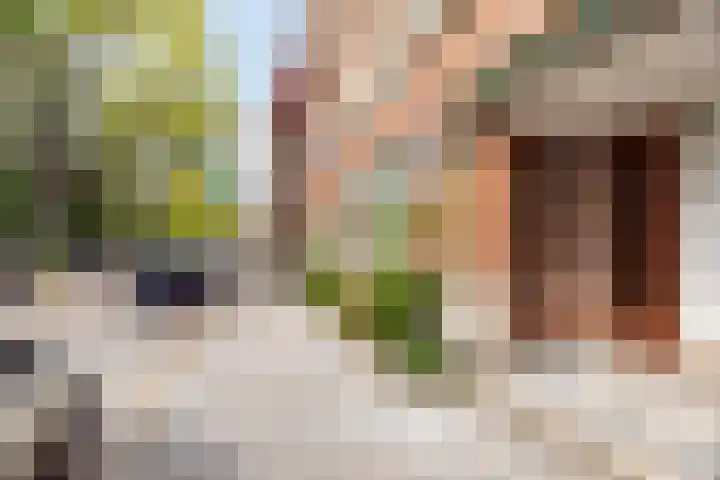 Sonmansstraat 108 B 02 Rotterdam thumbnail 50