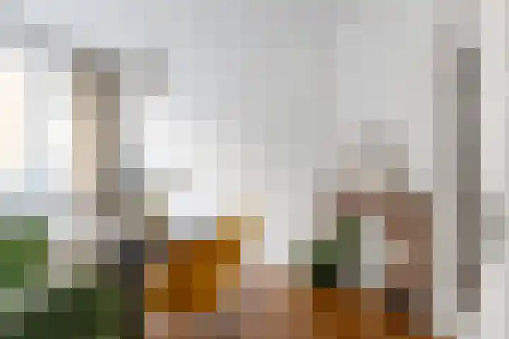 Sonmansstraat 111 B Rotterdam thumbnail 14