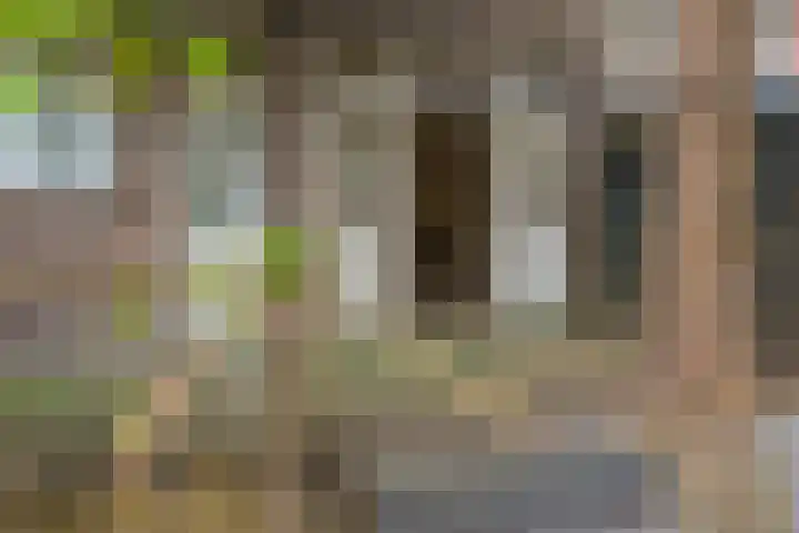 Sonmansstraat 111 B Rotterdam thumbnail 23