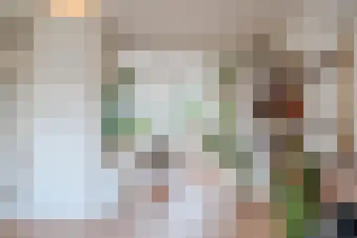 Sonmansstraat 113 B 03 Rotterdam thumbnail 16